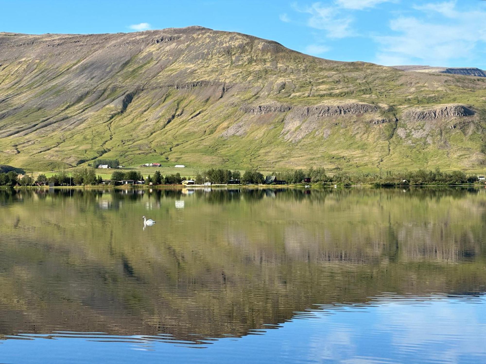 Cosy Lakeview Cabin 45 Minutes From Reykjavik Mosfellsbaer Eksteriør bilde